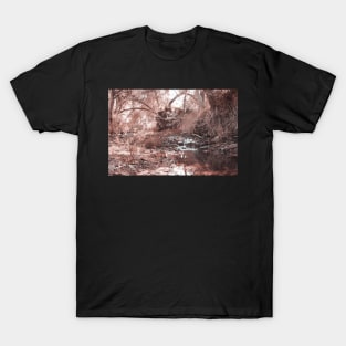 Photo of Peaceful Jungle Stream in California V2 T-Shirt